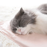 Winter Pet Heating Blanket Waterproof Wearable Wear Resistant Temperature Warm Cat Dog Mattress Indoor Heating Pad Pet Supplies