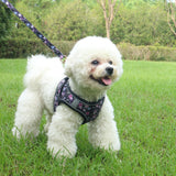 Small Dog Harness Leash Set Cute Traction Bracelet Medium Cat Collar Suit Soft Puppy Vest Harness Adjustable Pet Accessories