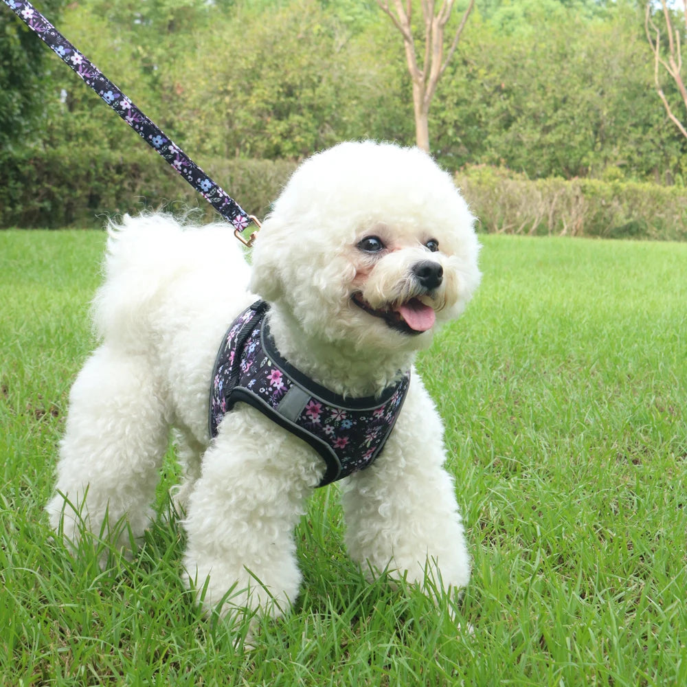 Small Dog Harness Leash Set Cute Traction Bracelet Medium Cat Collar Suit Soft Puppy Vest Harness Adjustable Pet Accessories
