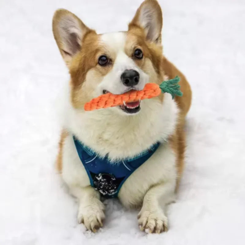 Carrot Shape Pet Knot Toy for Dog And Cat Cotton Rope Chew Toy Indoor Dog Toys Cat Toys Dog Accessories