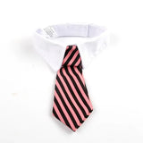 Pet Dog Cat Formal Necktie Tuxedo Bow Tie Black and Red Collar for Dog & Cat Pet Accessories for Wedding Holiday and Party Gift